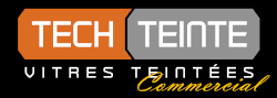 techteinte